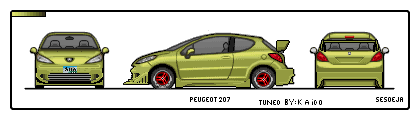 TunedPeugeot207.png