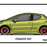 TunedPeugeot207