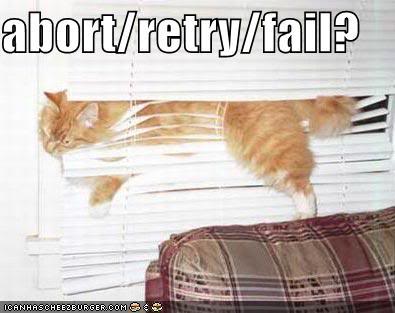 funny-pictures-cat-blinds-abort-ret.jpeg