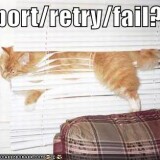 funny-pictures-cat-blinds-abort-ret