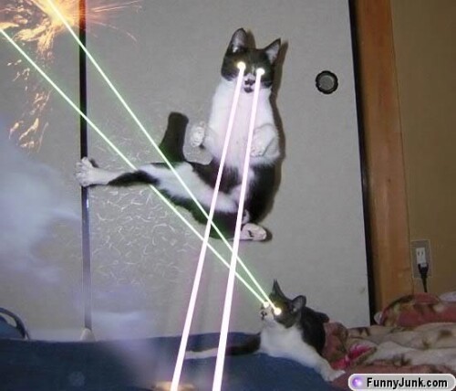 laser_kitties.jpeg