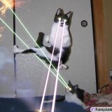 laser_kitties