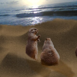 prairieDogs1200-2