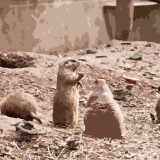 prairieDogs1200