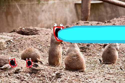 prairieDogs12001.jpeg