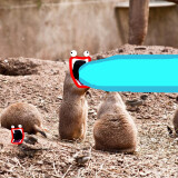 prairieDogs12001