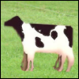 spycow1