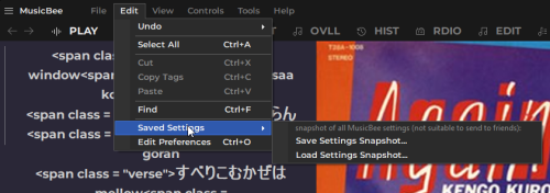 MusicBee_YmNXlsy4Ua.png