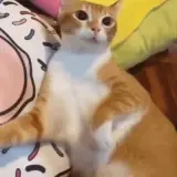 Sigle-ezgif.com-optimize