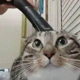 Untitledvideo-MadewithClipchamp6-ezgif.com-video-to-gif-converter