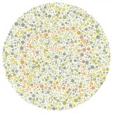 cat-dance-colour-blind