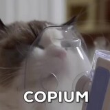 copium-cat
