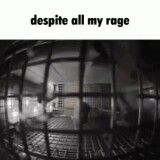 despite-all-my-rage-rat-in-a-cage