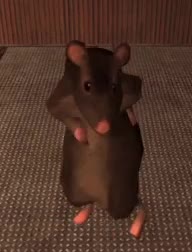 rat dance