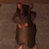 rat-dance