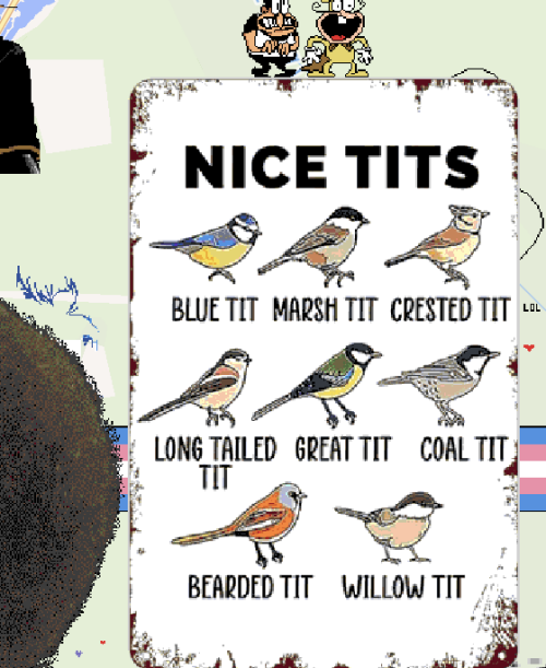 tits.png