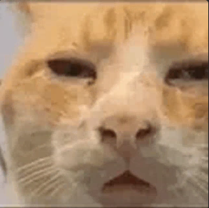 Discord_v4tyvzMGgU.png